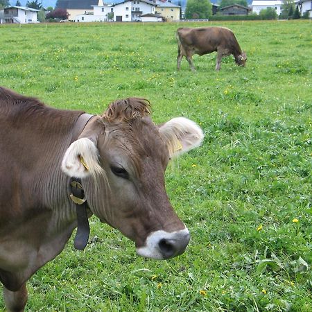 Apart Tyrol Uderns Zewnętrze zdjęcie