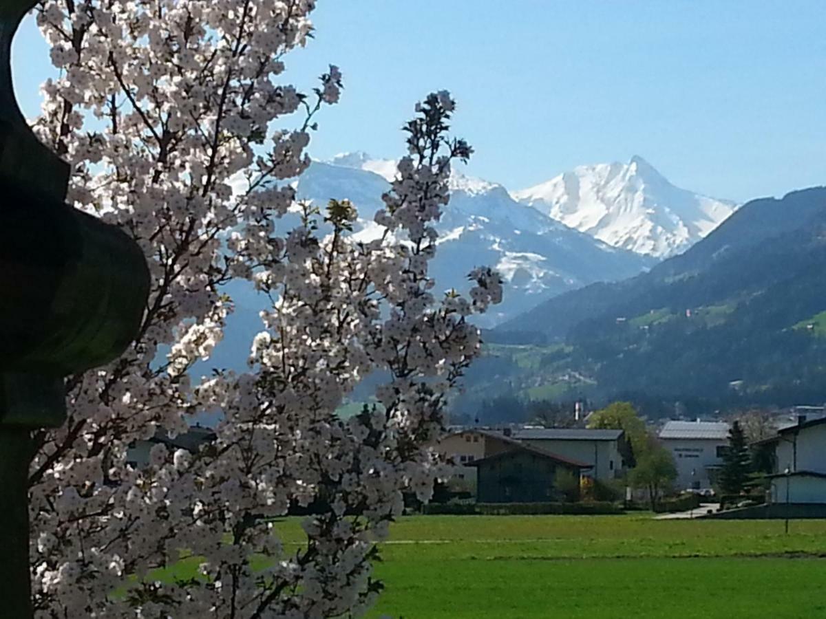 Apart Tyrol Uderns Zewnętrze zdjęcie